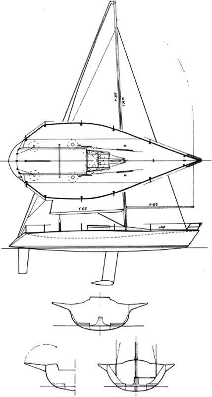 Drawing of Kiwi 35