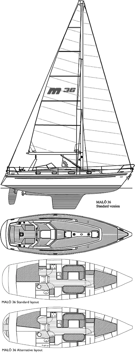 Drawing of Malo 36