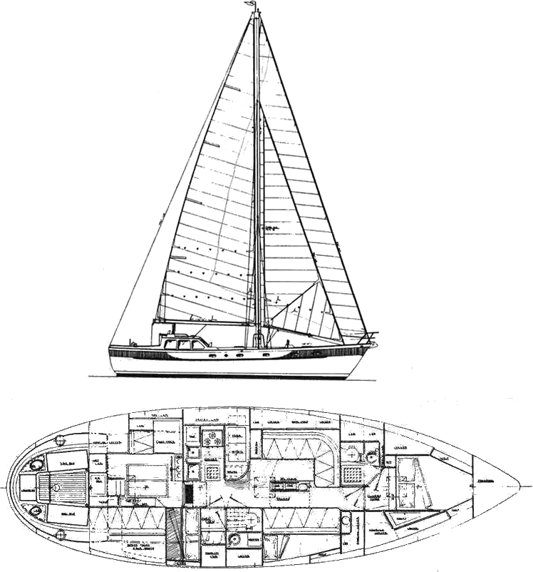 Drawing of Oceanic 43