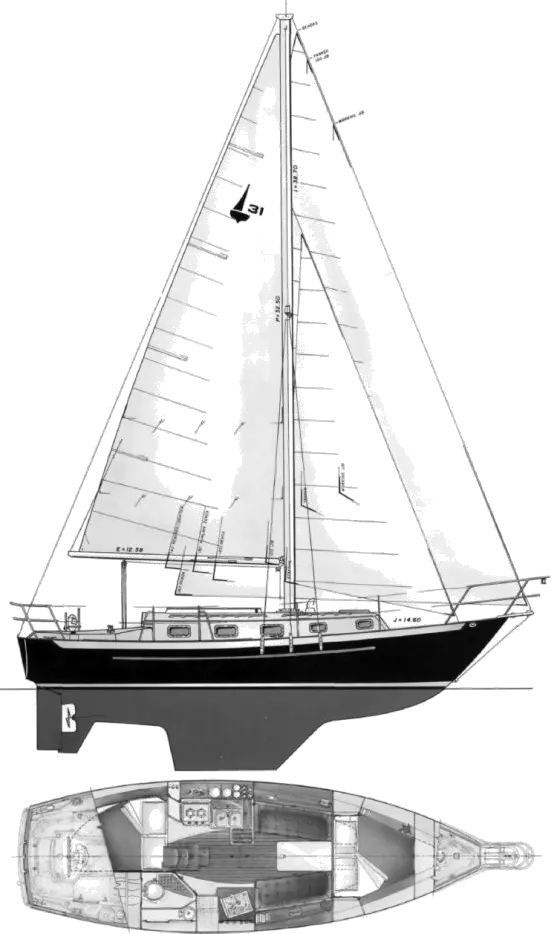 Drawing of Pacific Seacraft 31
