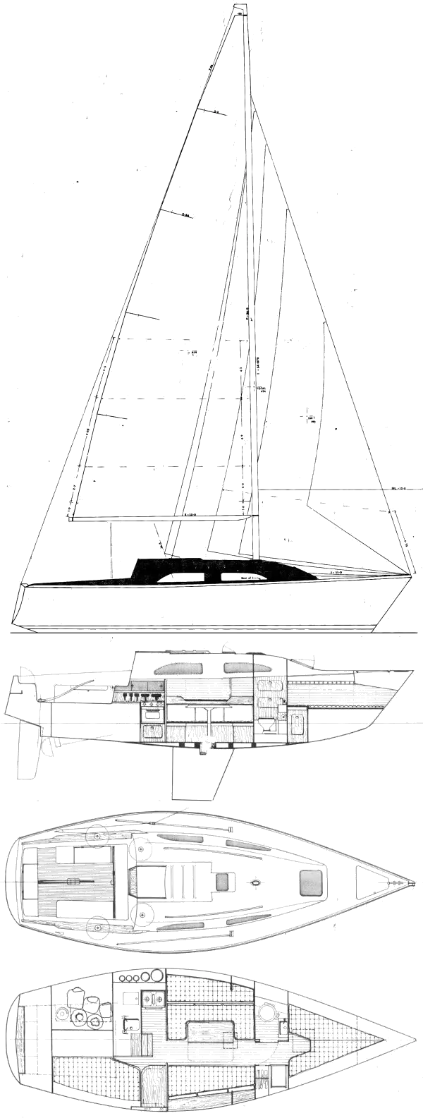 Drawing of Whiting 29