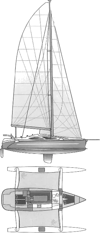 Drawing of Dragonfly 35