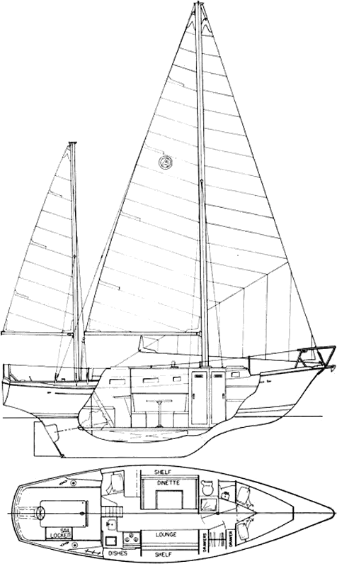 Drawing of Allied Princess 36