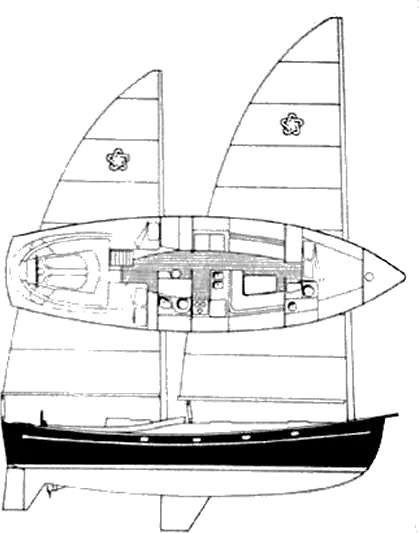 Drawing of Freedom 44 (Cat Ketch)