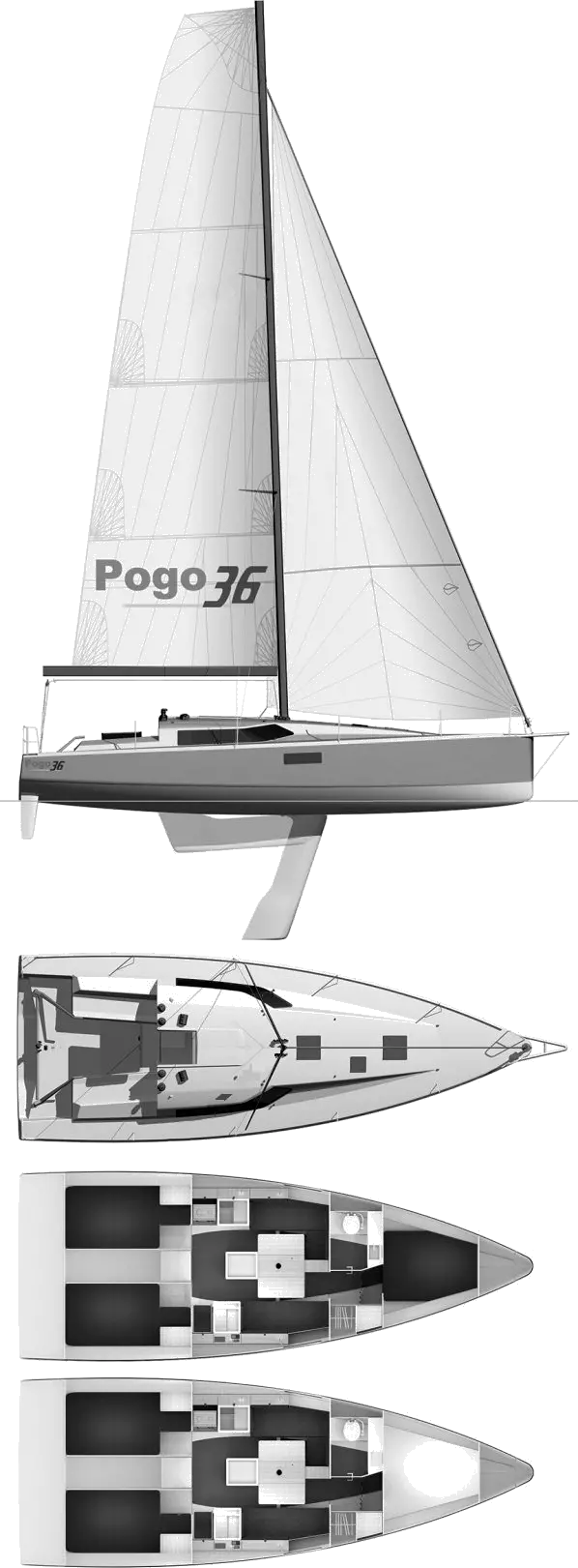 Drawing of Pogo 36