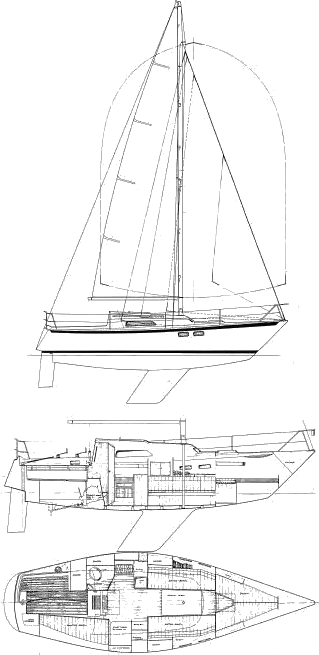 Drawing of Pion 30