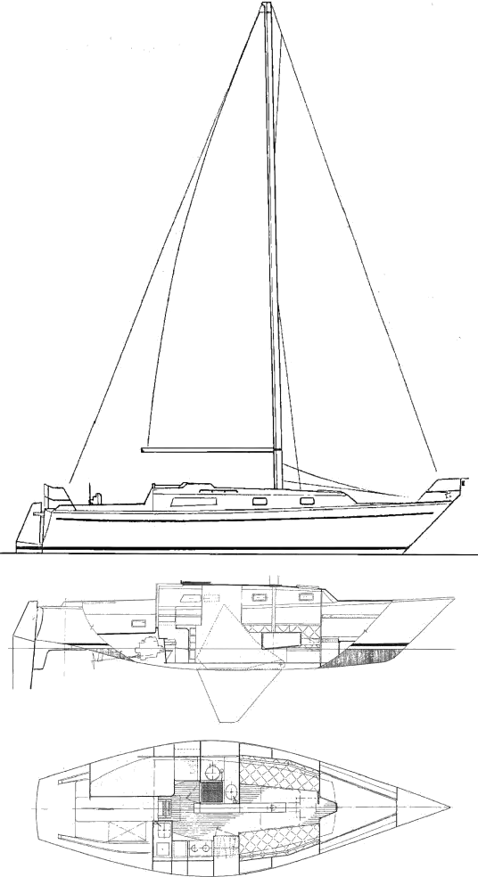 Drawing of Carter 35