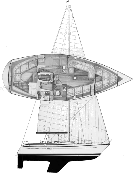 Drawing of Bostrom 37