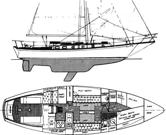 Drawing of Shannon 37