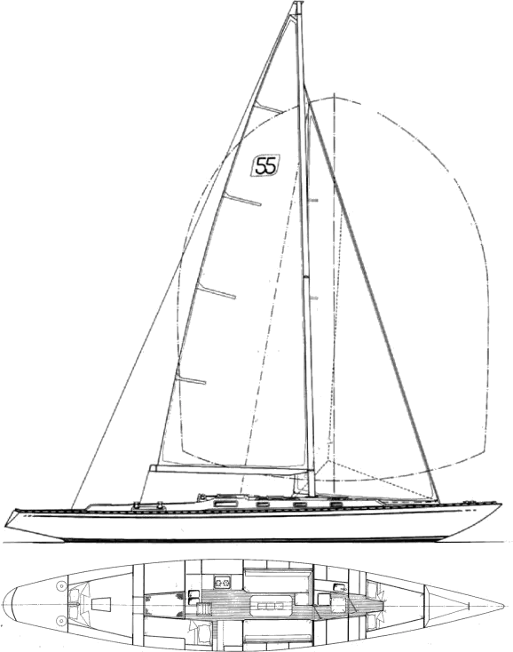 Drawing of Swede 55