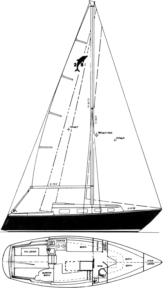 Drawing of Pacific Dolphin 28