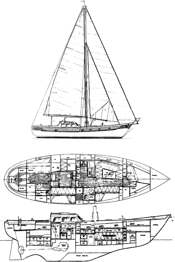 Drawing of Brewer 46