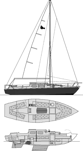 Drawing of Kingfisher 30