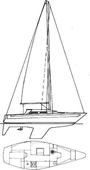 Drawing of Solus 29