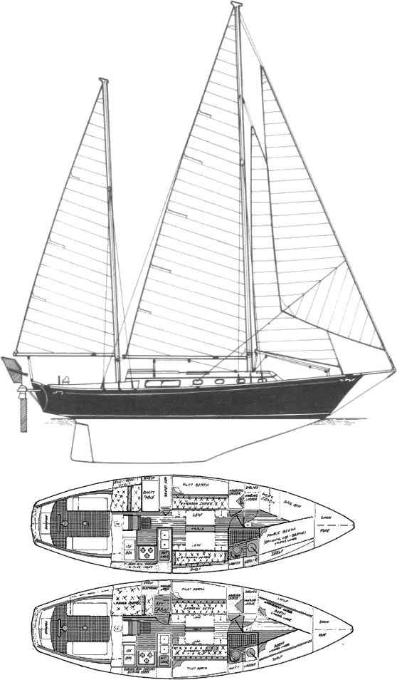 Drawing of Shannon 38