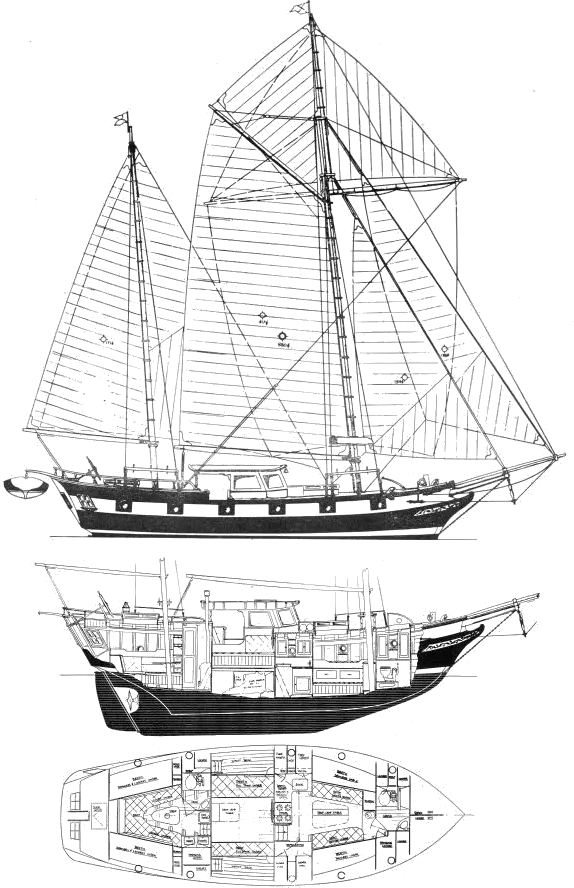 Drawing of Mayflower 40