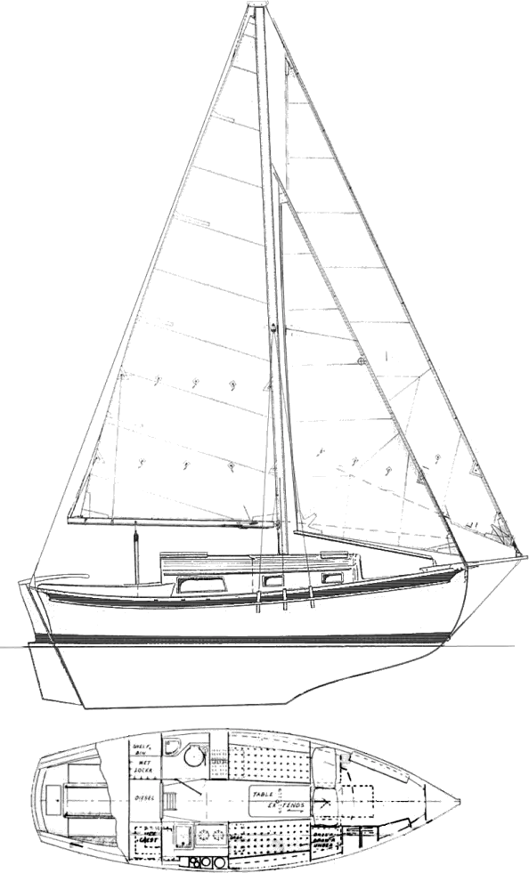 Drawing of Allegra 24