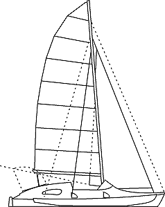 Drawing of Argonauta 27