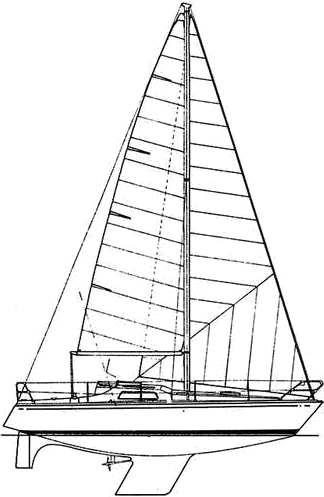 Drawing of Scampi 30-4