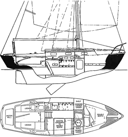 Drawing of Pacific Dolphin 24