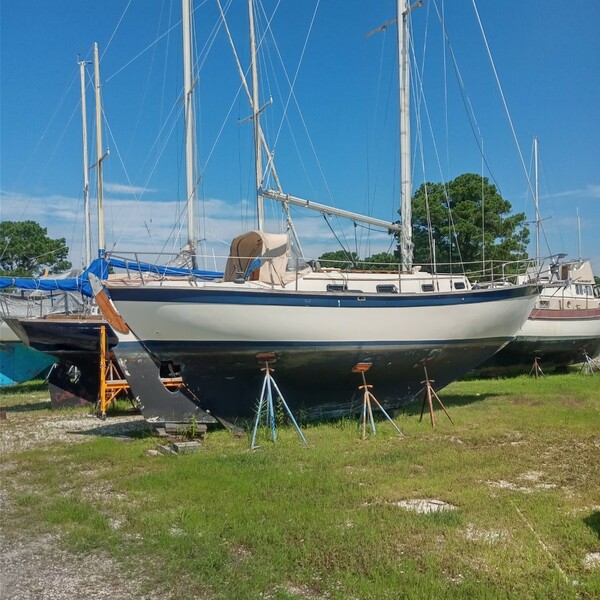 southern cross 31 sailboat
