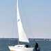 1982 S2 Yachts 7.9 Grand Slam cover photo