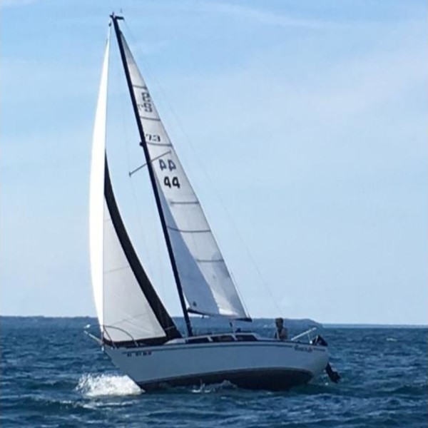 s2 7.3 sailboat